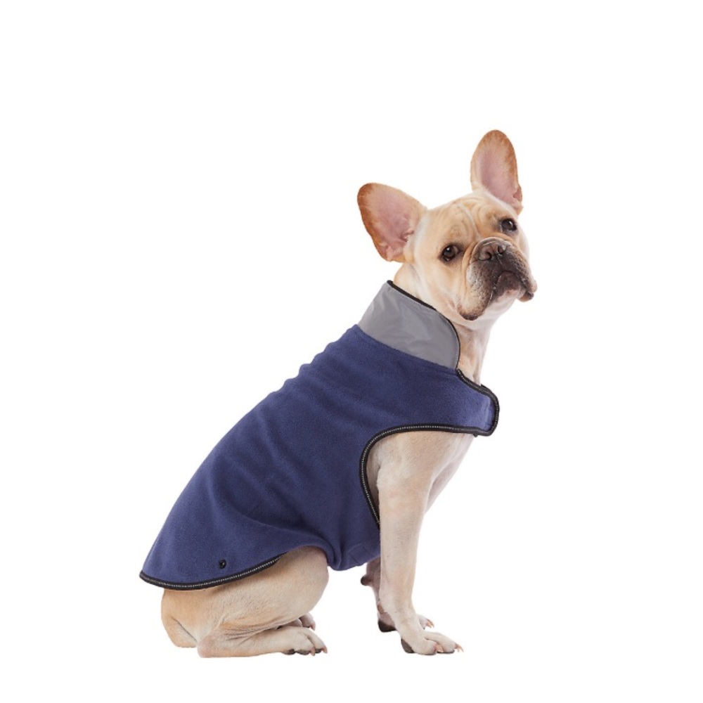 Dog Jacket & Sweater